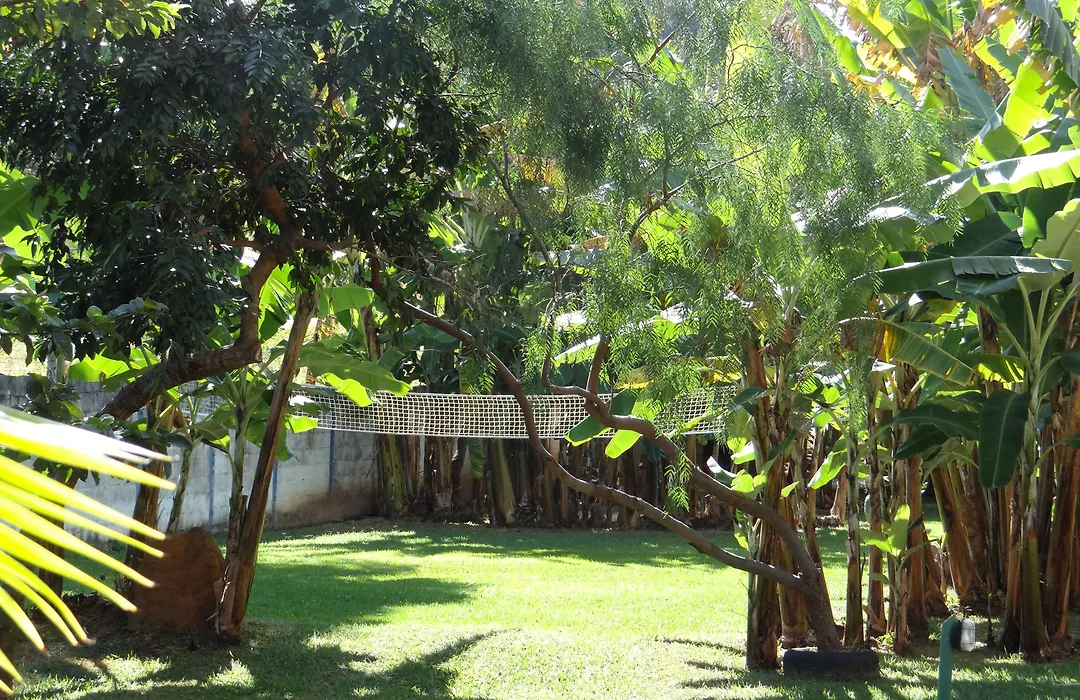 Pousada Banana Cipó-1